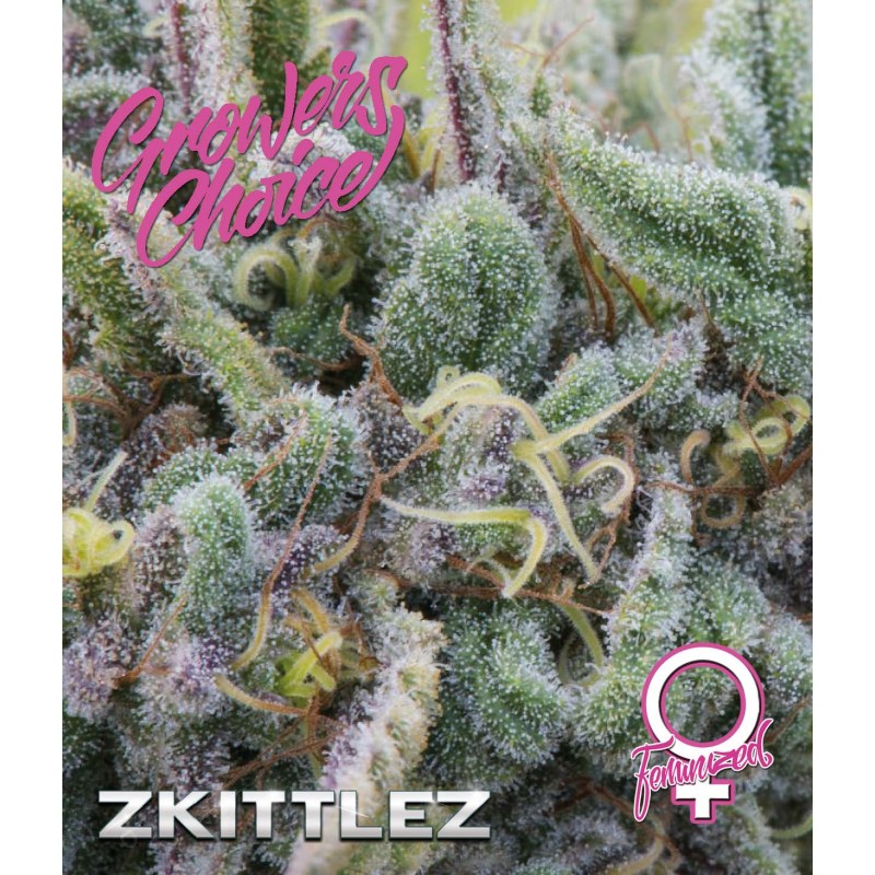 An image of Zkittlez