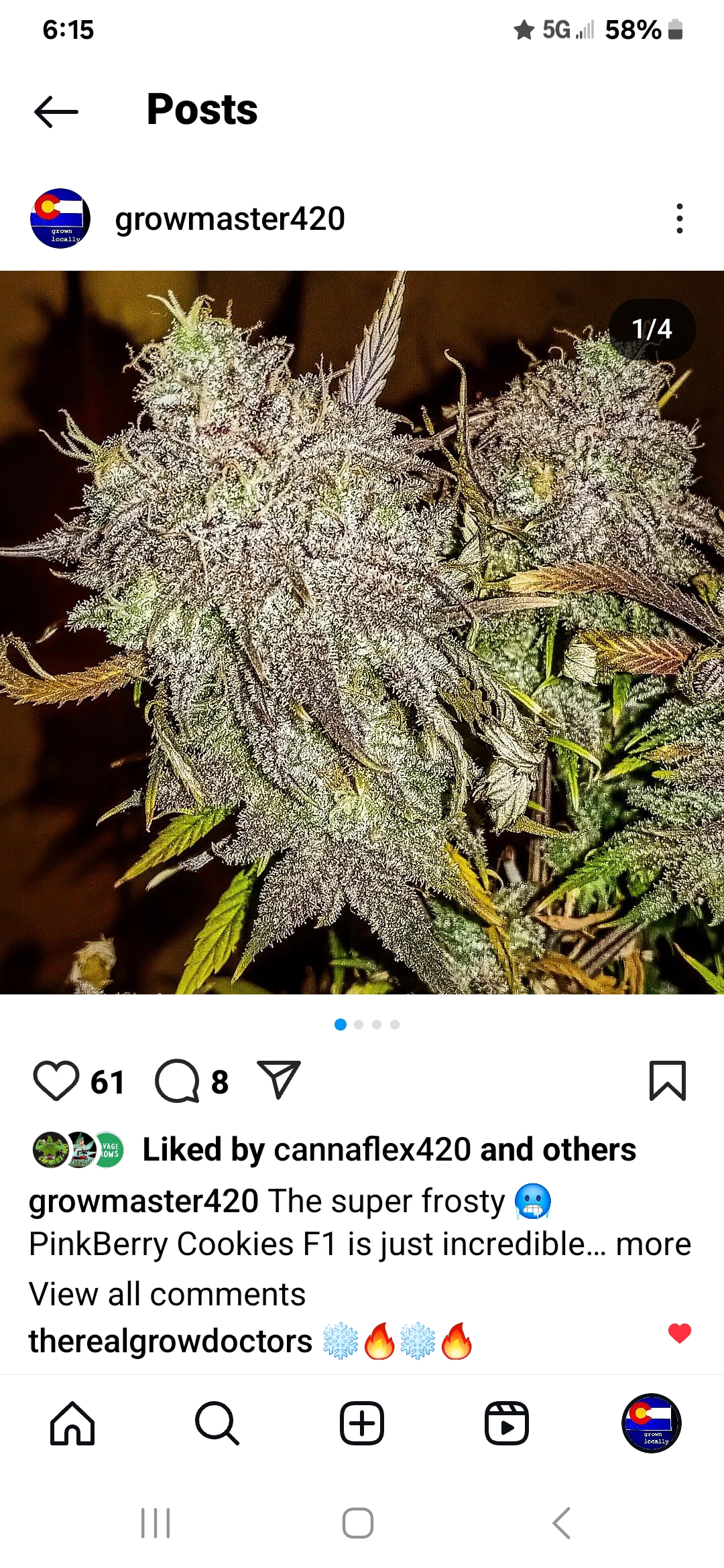 An image of Pinkberry Cookies