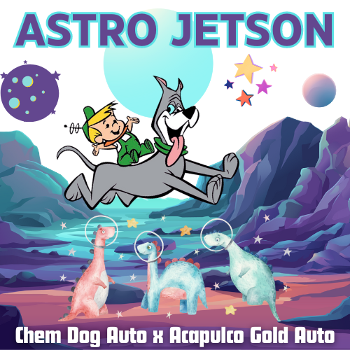 An image of Astro Jetson