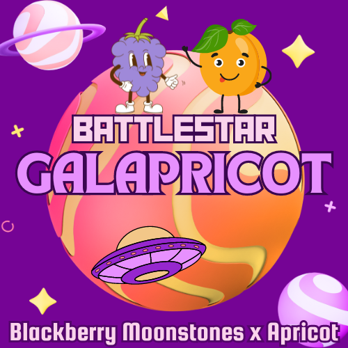 An image of Battlestar Galapricot