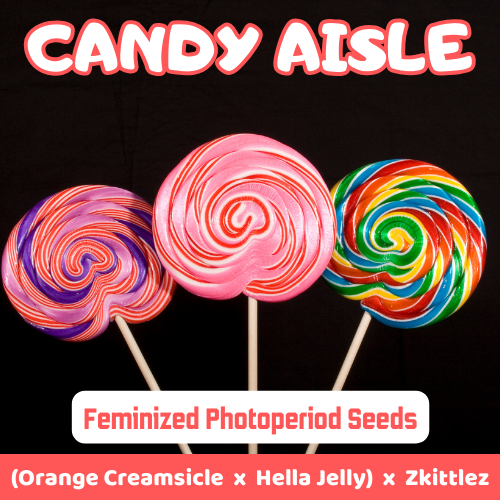An image of Candy Aisle