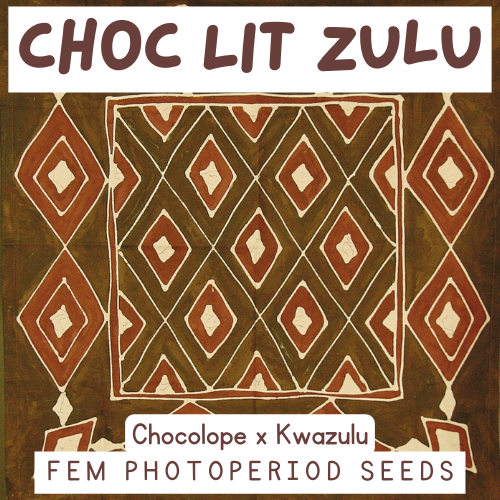An image of Choc Lit Zulu