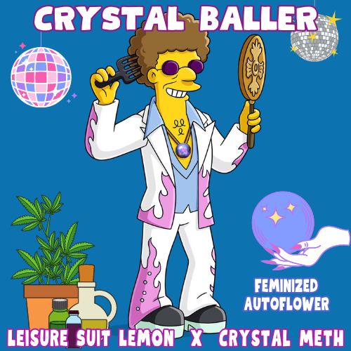 An image of Crystal Baller