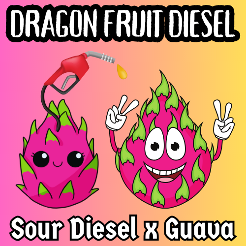An image of Dragon Fruit Diesel