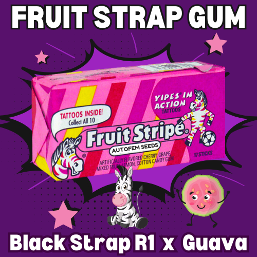 An image of Fruit Strap Gum