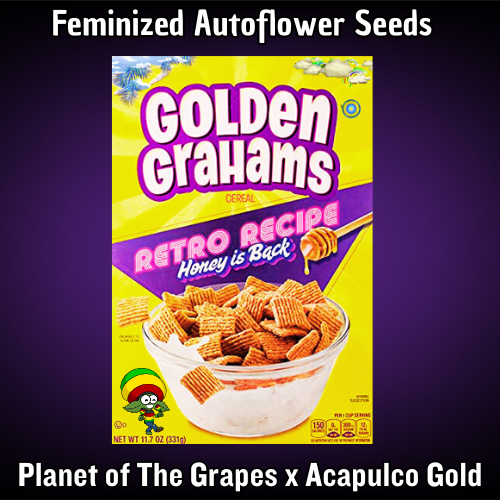 An image of Golden Grahams