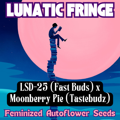 An image of Lunatic Fringe