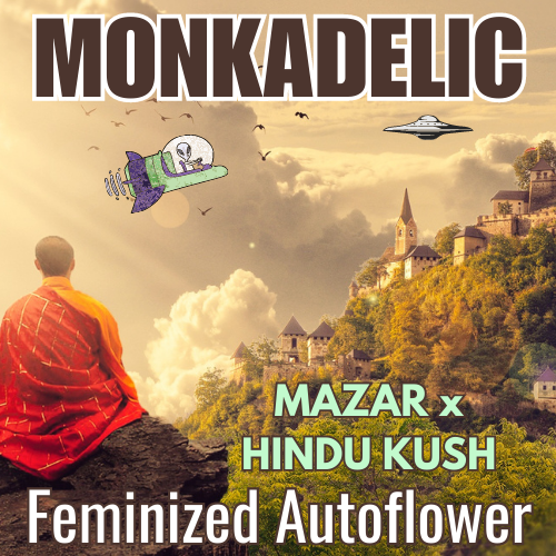 An image of Monkadelic