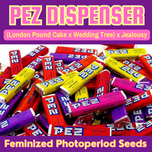 An image of Pez Dispenser