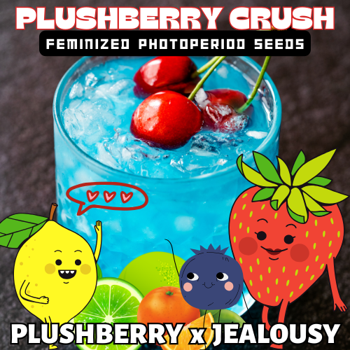 An image of Plushberry Crush