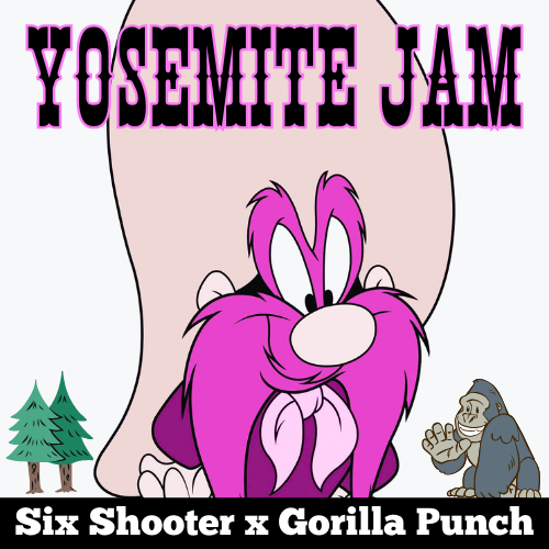 An image of Yosemite Jam