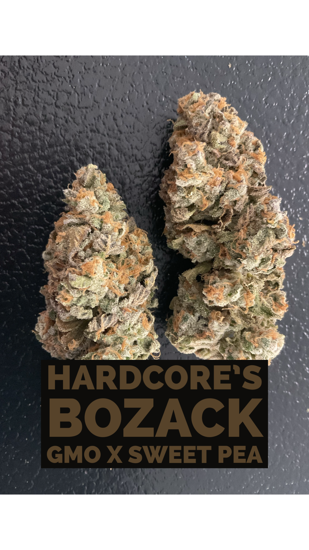 An image of Bozack