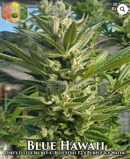 An image of Blue Hawaii