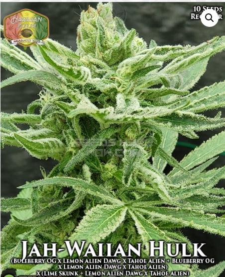 An image of Jah-Waiian Hulk