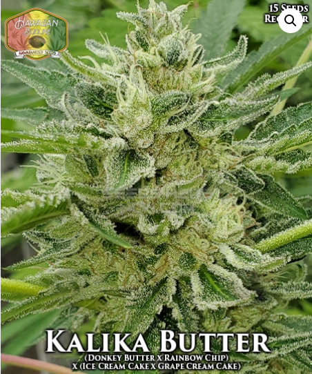 An image of Kalika Butter