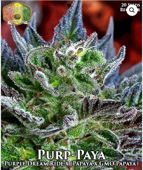 An image of Purp-Paya