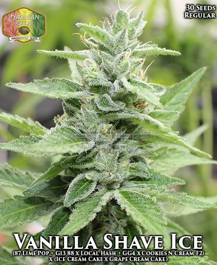 An image of Vanilla Shave Ice