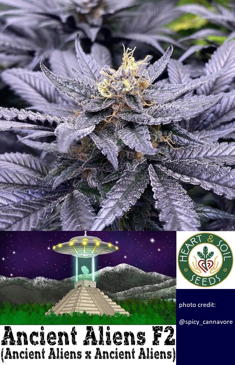 An image of Ancient Aliens