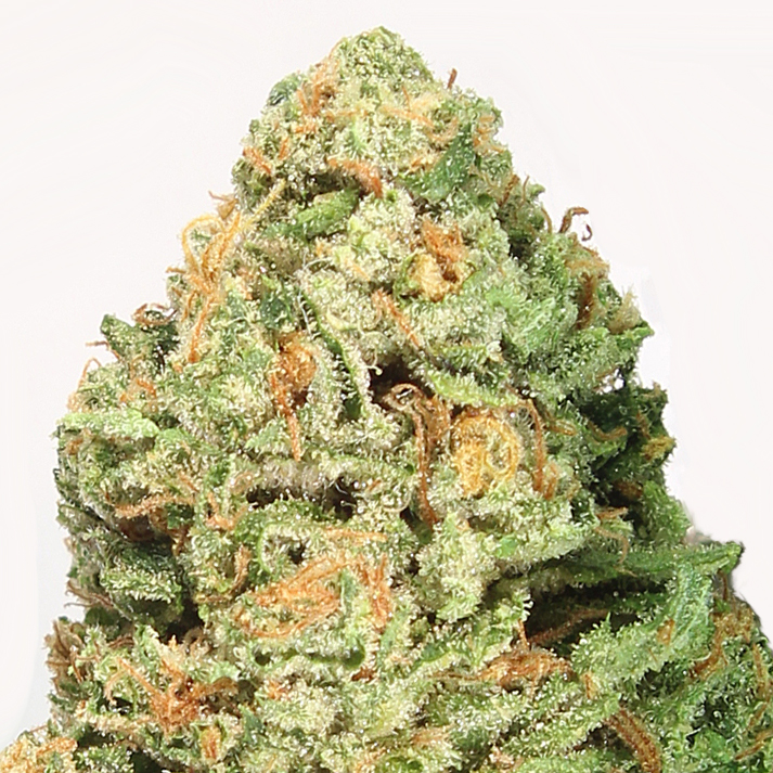 An image of Fruit Punch