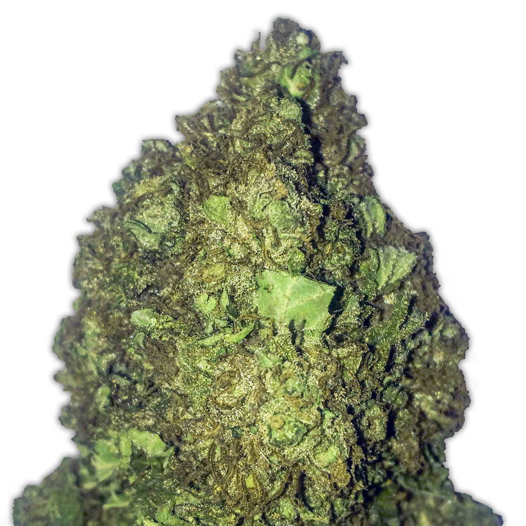 An image of Short & Sweet Auto