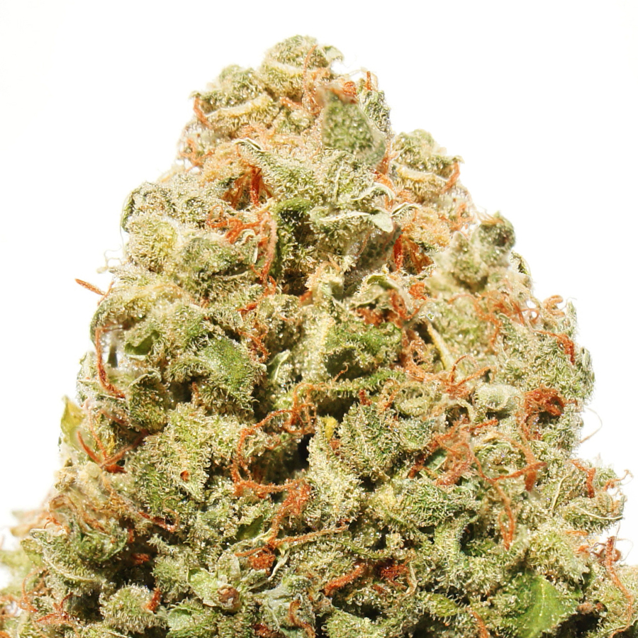 An image of Strawberry Cheesecake