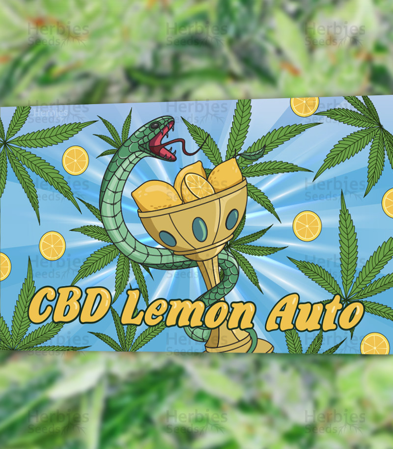 An image of CBD Lemon Auto