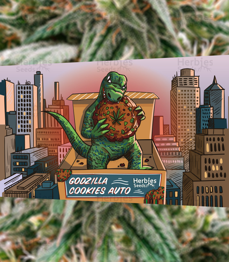 An image of Godzilla Cookies Auto