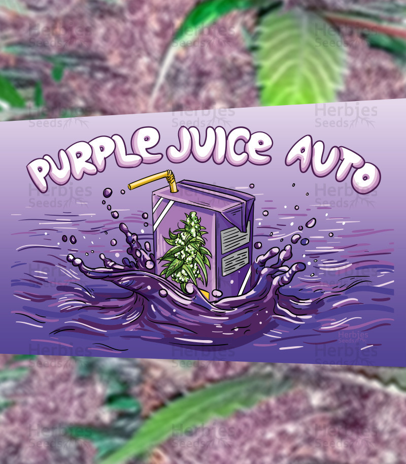 An image of Purple Juice Auto