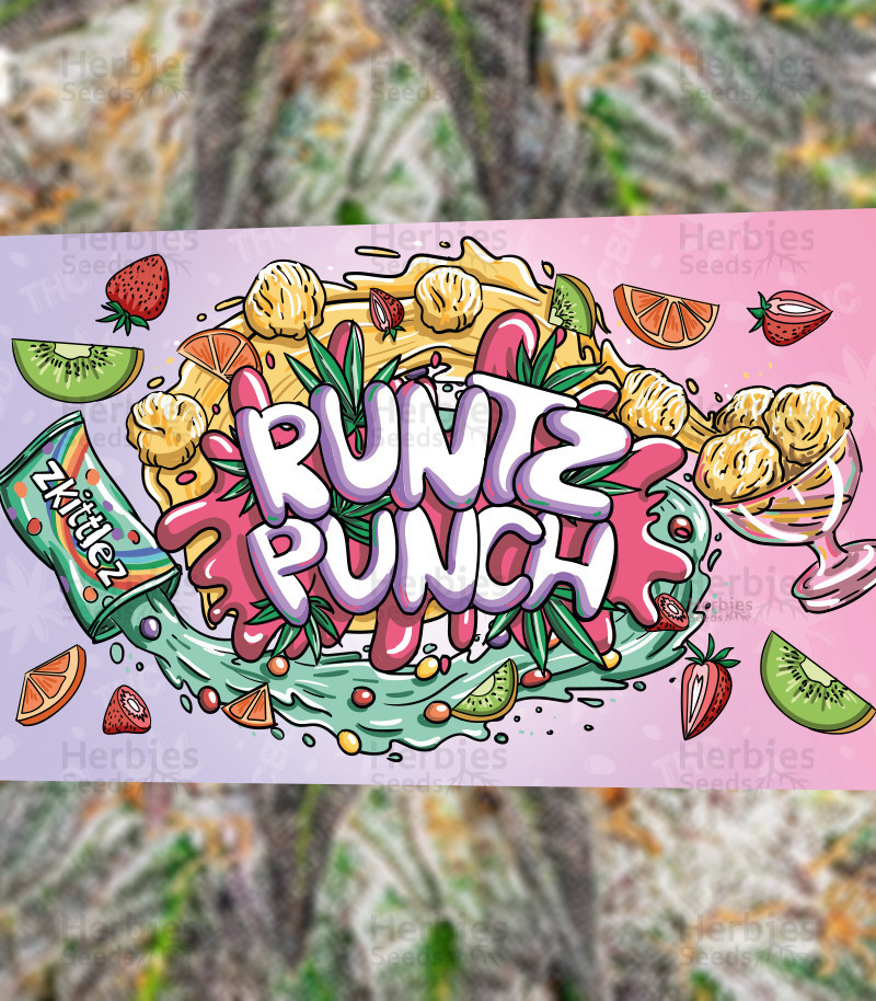 An image of Runtz Punch