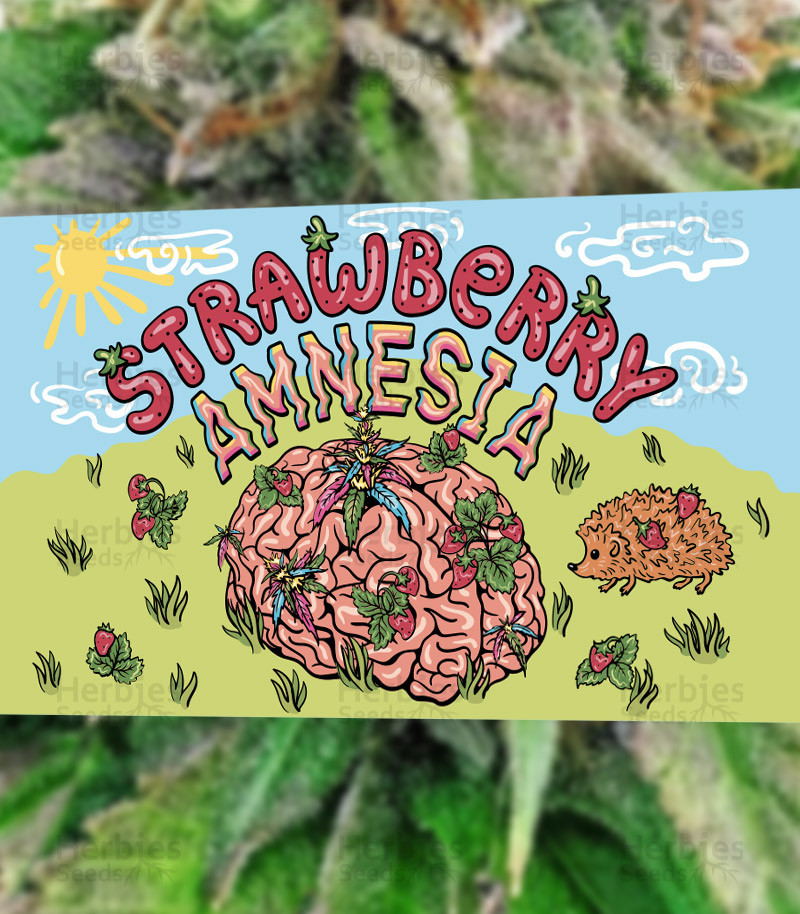 An image of Strawberry Amnesia