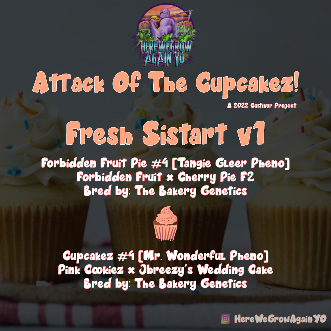 An image of Fresh Sistart v1