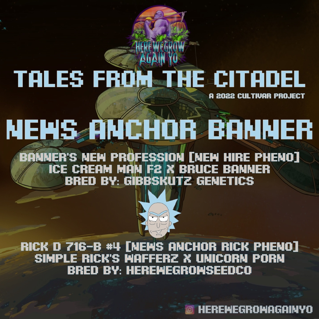 An image of News Anchor Banner