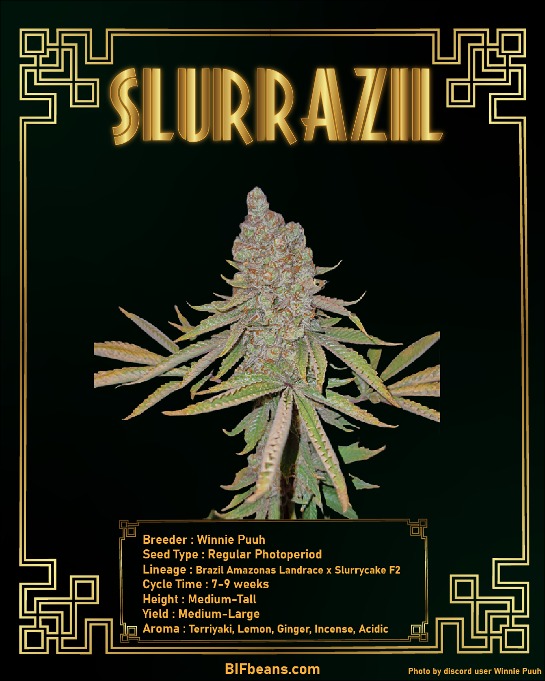 An image of Slurrazil