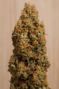 An image of Green Crack CBD