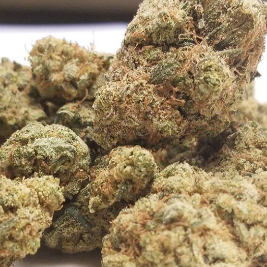 An image of Cactus OG