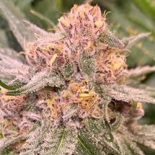 An image of Dirty Banana