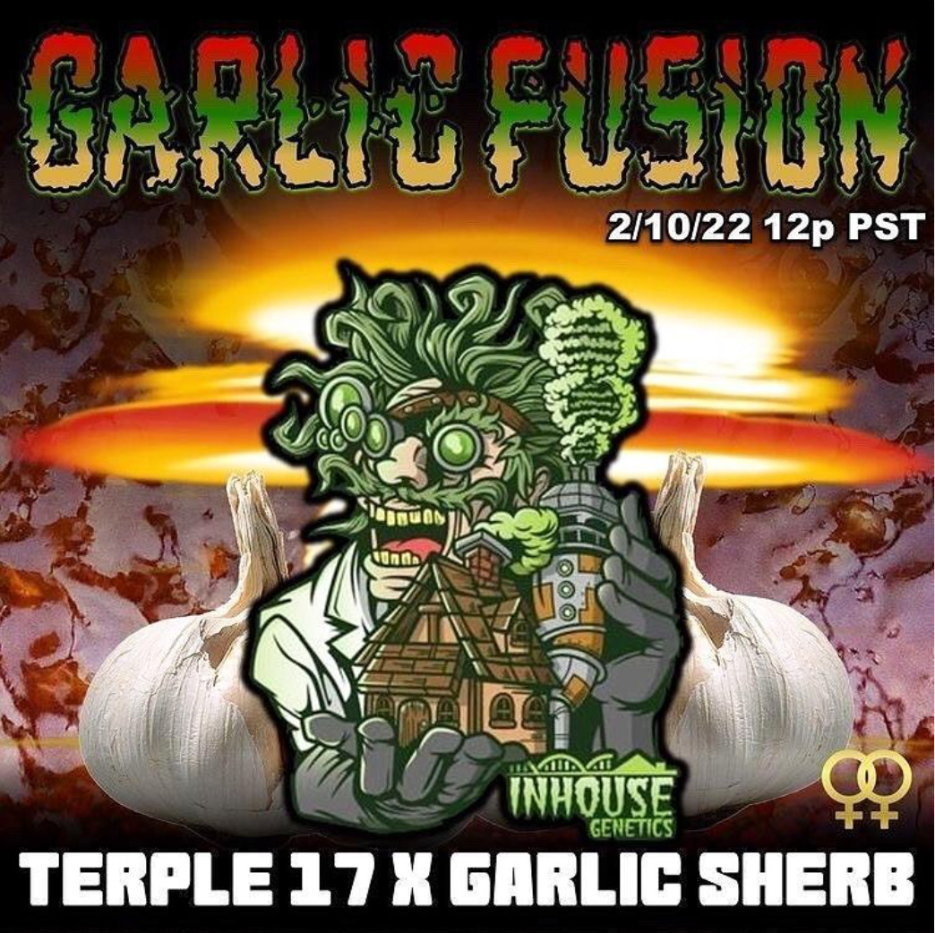 An image of Garlic Fusion