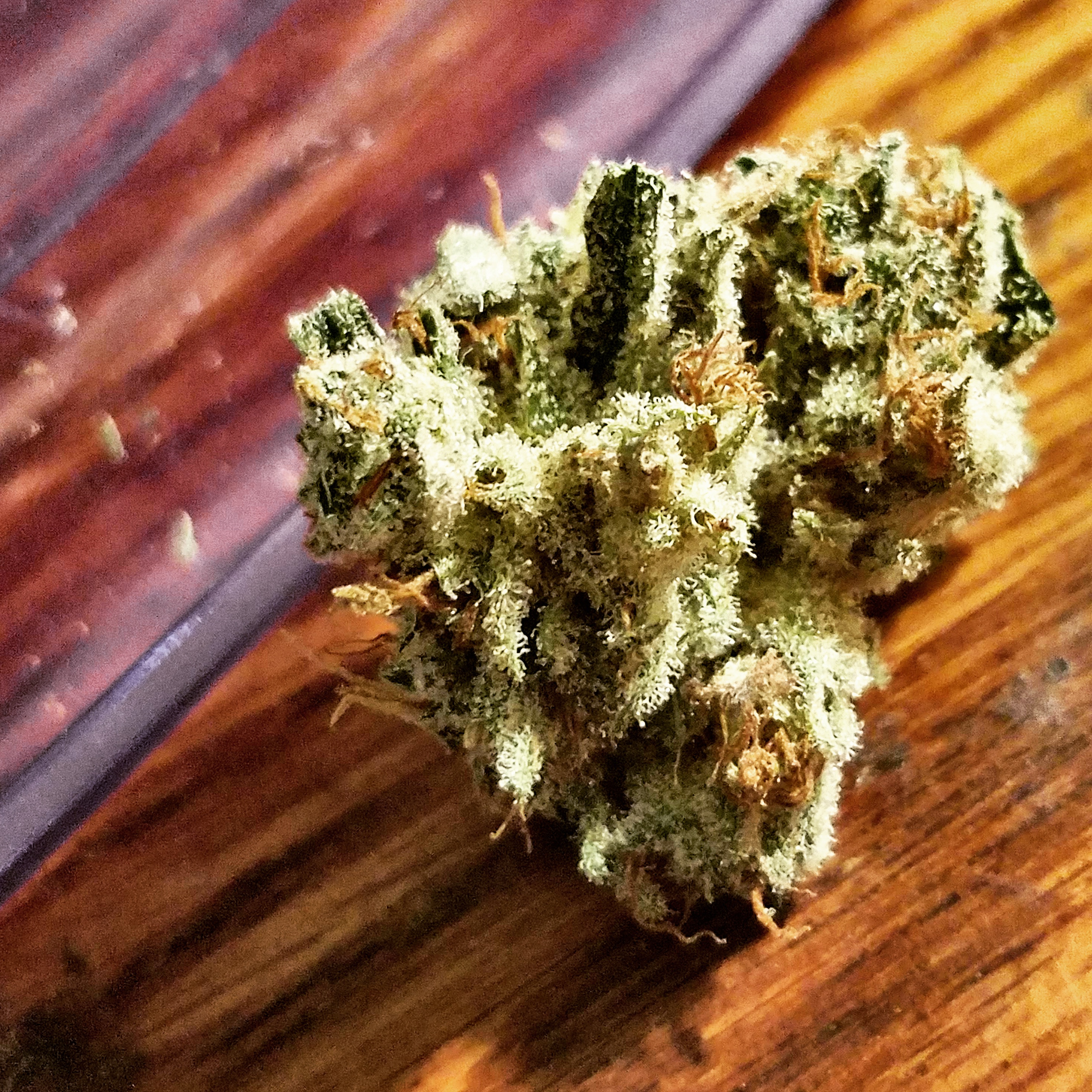 An image of Strawberry Blaze