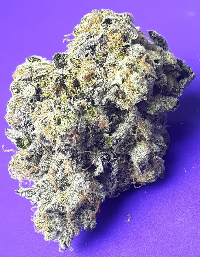 An image of Ugly Unicorn