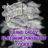 An image of Grand Daddy Platinum PurpBerry Cookies