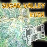 An image of Sugar Valley Kush