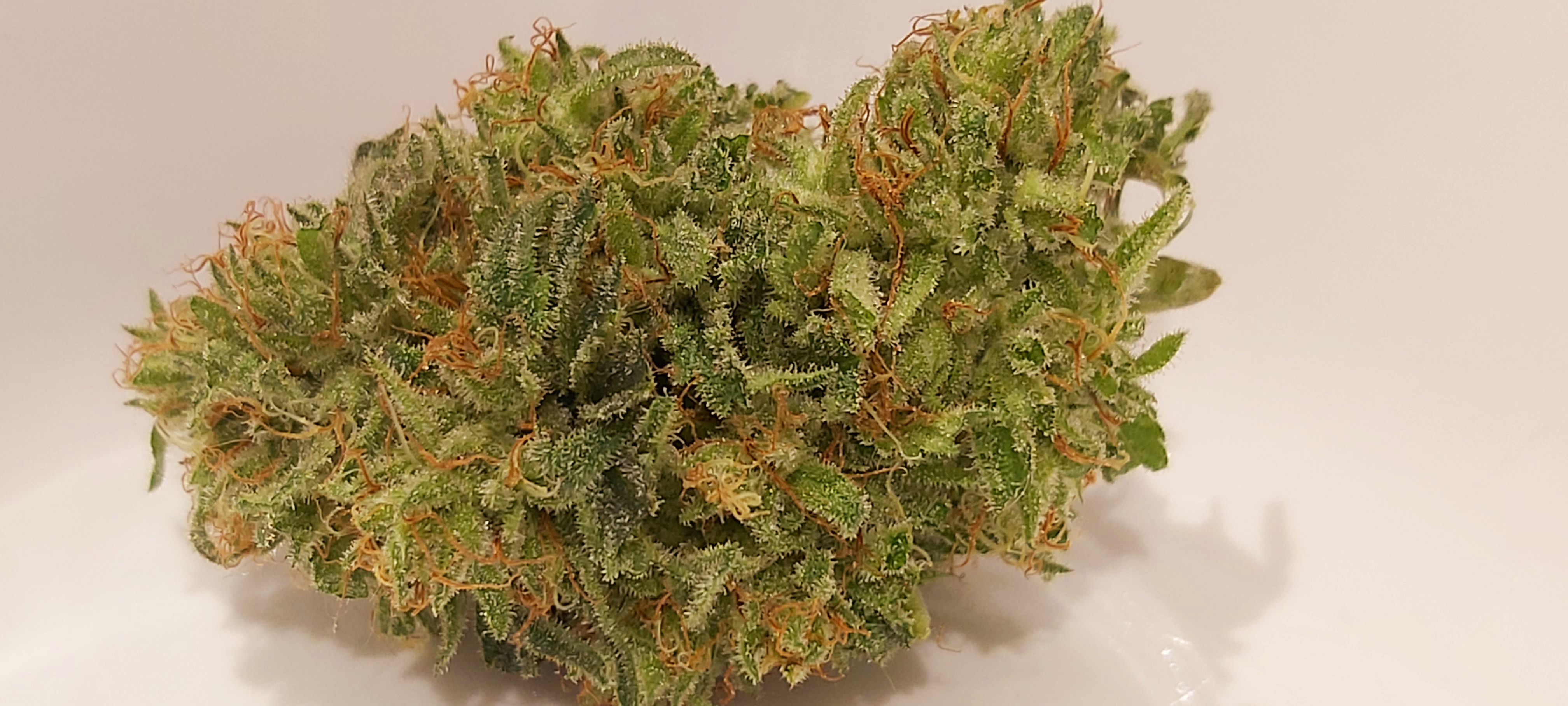 An image of Black Dreams