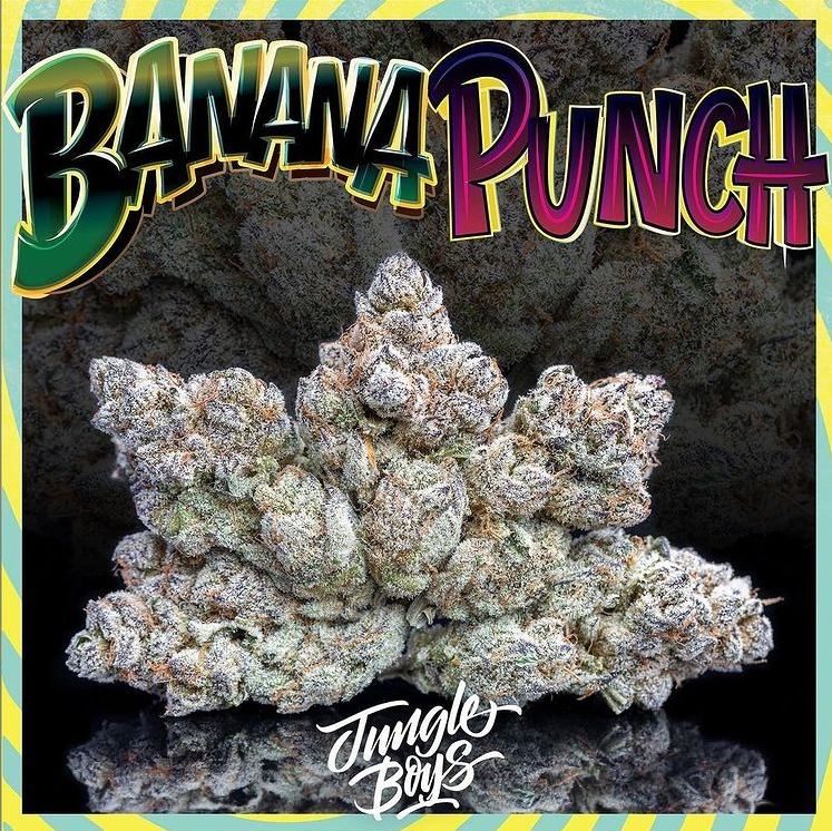 An image of Banana Punch