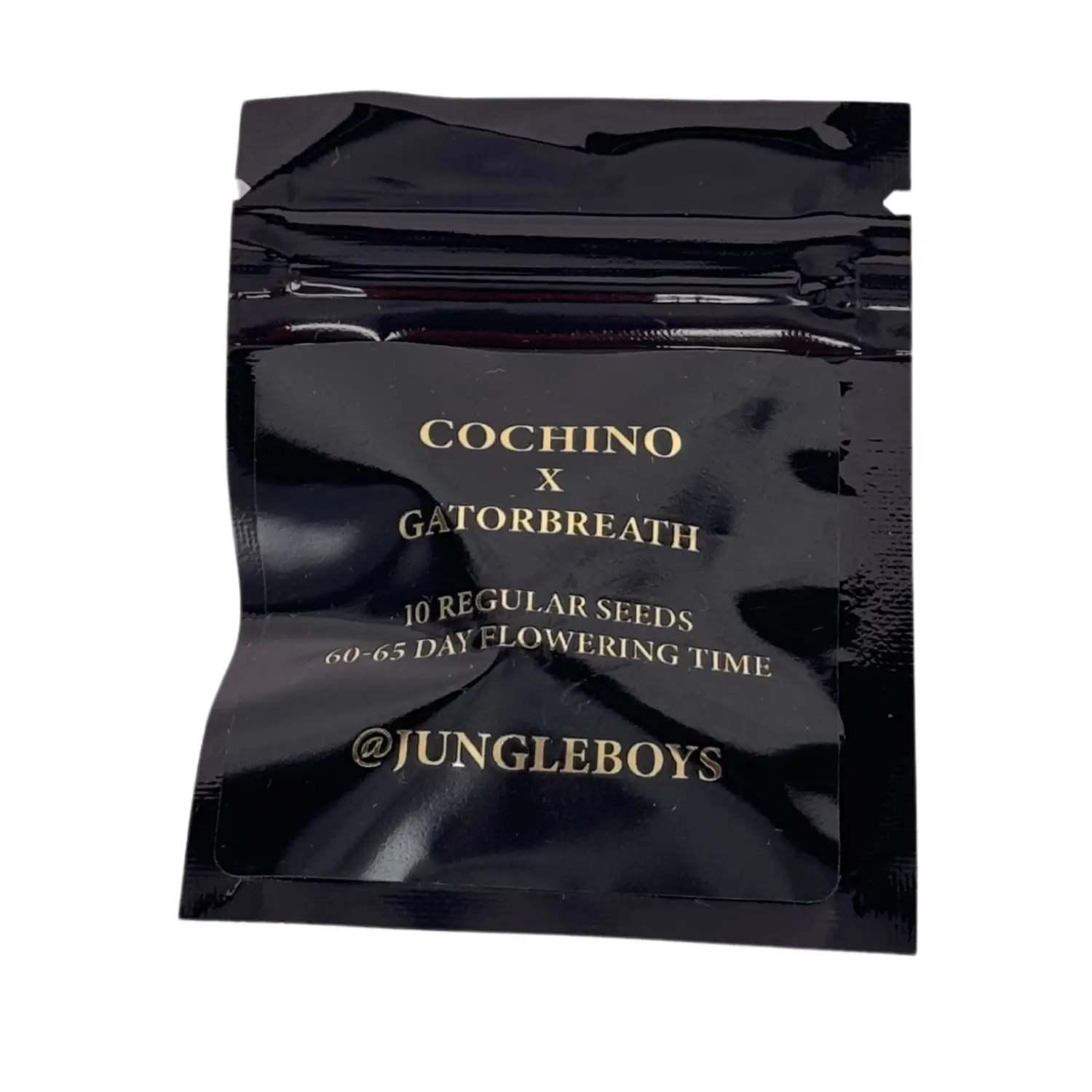 An image of Cochino x Gator Breath