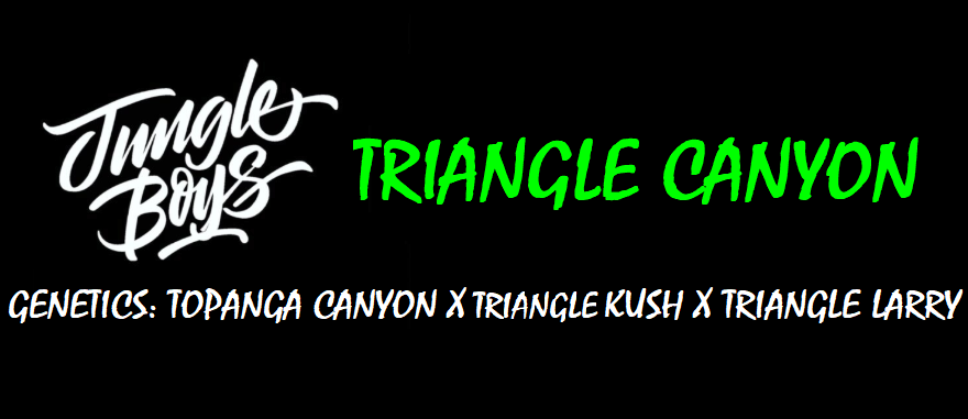 An image of Triangle Canyon