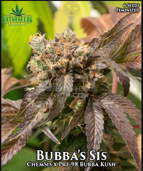 An image of Bubba’s Sis