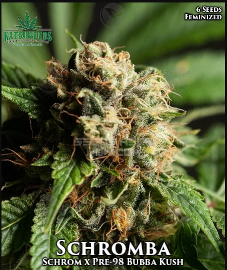 An image of Schromba