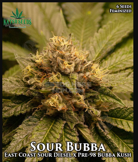 An image of Sour Bubba