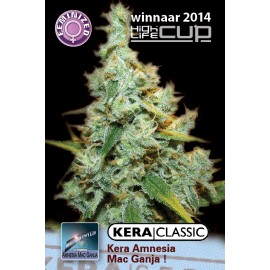 An image of Amnesia Mac Ganja
