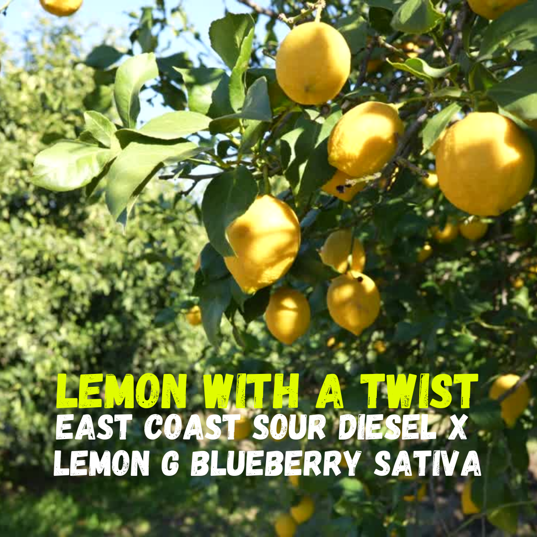 An image of Lemon With A Twist